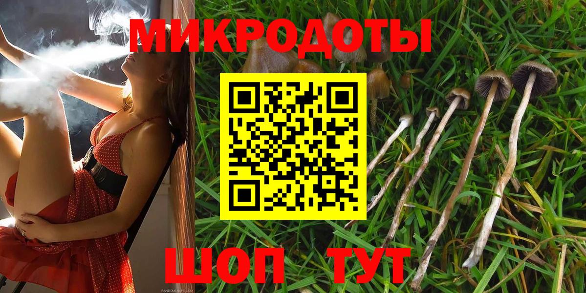 Псилоцибиновые грибы MAGIC MUSHROOMS  Галлюциногенные грибы мухоморы  Зима  купить наркотик  Вход с VPN 