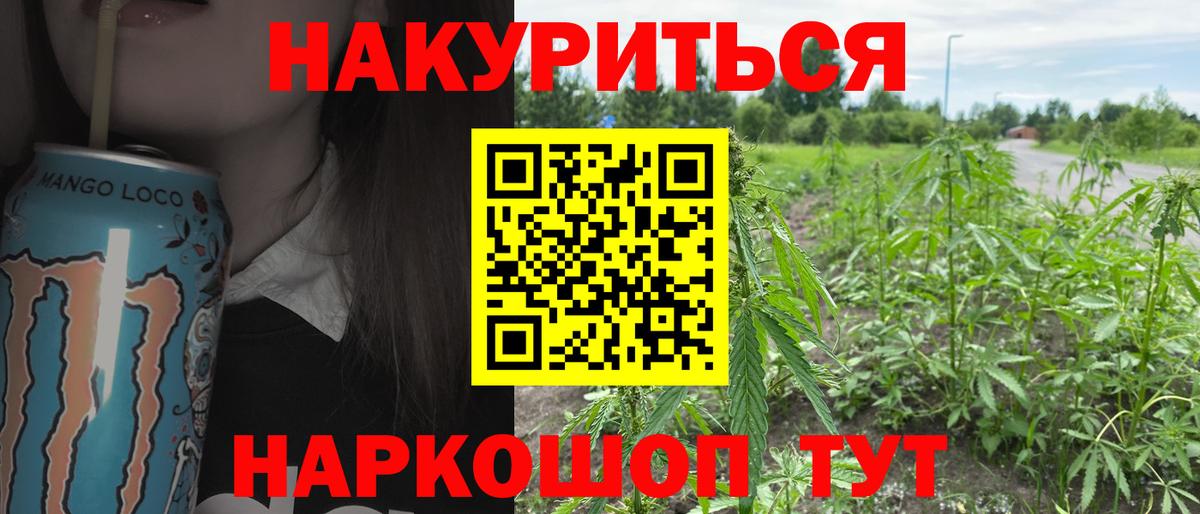 Марихуана планчик  Бошки Шишки конопля  Зима  Вход с VPN  Каннабис Amnesia 